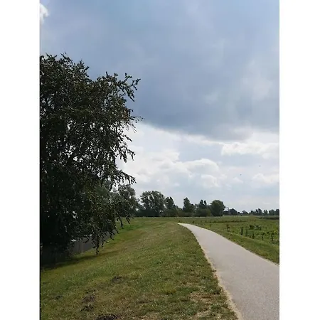 Froschkoenig Comfortable Middelhagen