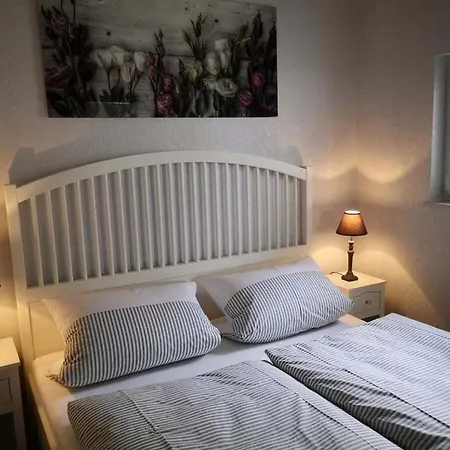Froschkoenig Comfortable * Middelhagen